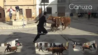 Ganuza en Gilet , Carreras con 12 Vacas de lujo 18 de Enero 2026