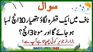 Top Islamic Questions Answers | Islamic Quiz | Islamic Paheliyan | Islami Sawal Jawab | Urdu Quiz