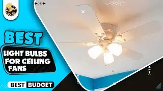 Best Light Bulbs For Ceiling Fans|Top 5 Light Bulbs For Ceiling Fans