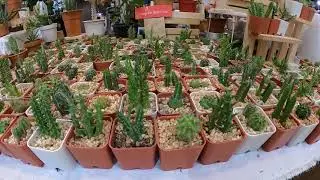 Vlog 27  พาเดินงาน Urban Garden Central Ladprao #gropromax