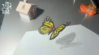 Beautiful Butterfly Drawing
