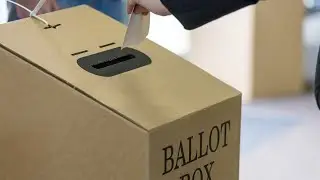 Preferential voting system &lsquo;protects&rsquo; major parties, not voters: Dimitri Burshtein