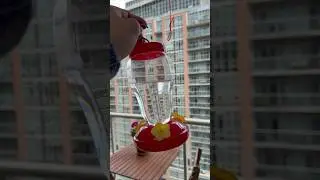 BIRD FEEDER HACK FOR SUMMERTIME