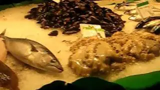 OMG FISH!!!!