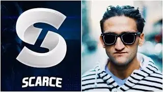 Casey Niestat Exposed YouTubers Exposed YouTube PositIvity Fake Subscribers