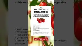 Discover the Nutritional Properties of Tomatoes