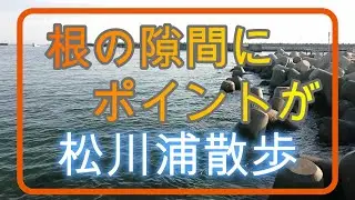 松川浦散歩 2023 春