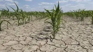  Cuenta regresiva: 7 alertas que pueden poner tu campo en riesgo en solo 60 segundos.