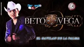 Beto Vega - El Gavilan De La Palma (Estudio 2014)