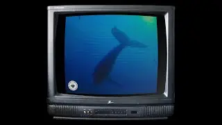 pale blue dot 🐋🌎 deep lofi house mix