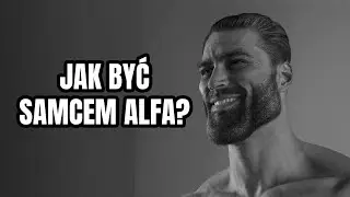 Jak zostać SAMCEM ALFA?