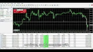 XAUUSD EA Trading 2026 | How Automated Gold Trading Really Works (MT4)
