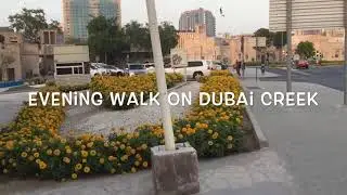 MYDUBAI ,Walking Tour ,Birds Falcon Camel Watch, Heritage Site Al Fahidi