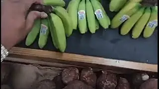 House Of Healing 🌿 Goes Shopping  🍌 🍉 🍏