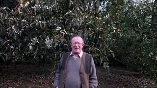 Latest video from Charles in the garden at Caerhays