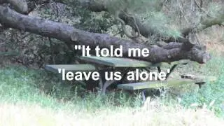 Griffith Park - Haunted picnic table