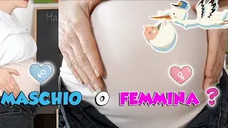 Sar&agrave; Maschio o Femmina? - Test per capirlo
