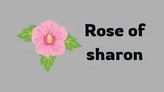 Science - G.K.- names of various flowers - different types of flowers with pictures-kids of 3-12 yrs