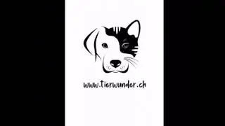 🦠Zwischen Zeckenbefall, Schwarzk&uuml;mmel&ouml;l, Spot Ons und der Borreliose - Impfung 💉