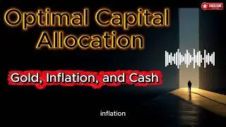 WHAT TO INVEST IN DURING HIGH INFLATION? Smart Allocation Between Gold & Cash | 4-2-4 Formula