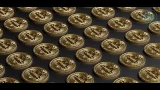 Access the Bitcoins | Rabbi Fischel Schachter