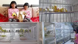 PET SHOP | PET MARKET SHARJAH | PET WORLD