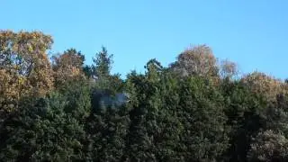 RC Heli Meeting in Tsukuba 2011 by Orange ball