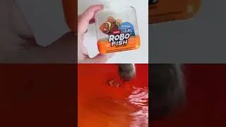 Іграшка Robo Fish з магазина MOYO #відеоогляд #іграшка #robofish #україна