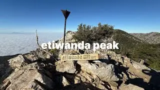 Etiwanda Peak Hike | Icehouse Canyon Trail | Cucamonga Wilderness Hiking Archive | August 15, 2025