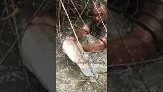 #realfishing