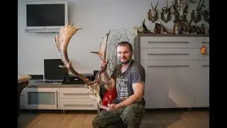 Wieniec daniela 2017 - Fallow deer