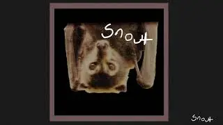 Snout - String Along