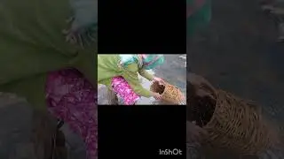 ಏಡಿ ಹಿಡಿಯಲು ಹೊರಟಿದ್ದು...