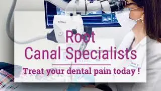 Root Canal Specialists
