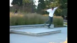 Mike Crook Half Cab noseslide to BS tail to Nose mani