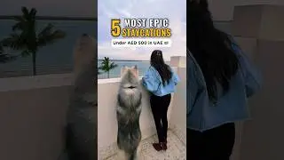 5 most epic staycations under 500 AED in UAE 🤩🤩🥲 #youtubeshorts #dubai #dubailife #travelshorts