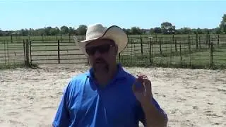 Sunglasses and Horsemanship Tip