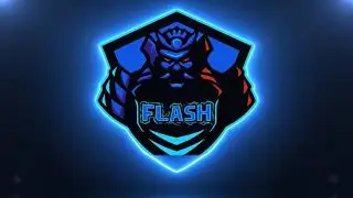 Transition Flash