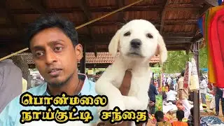 Trichy ponmalai market | pet market | நாய் குட்டி சந்தை