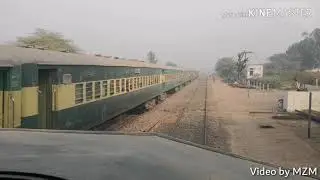 Dancing Rail| Pakrail lover|