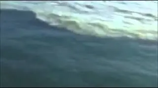 Miracle of Quran   Where two seas meet   Between them is barrier