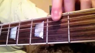 Guitar lesson-fiss in bass