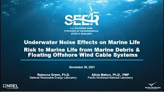 SEER Webinar #1: Underwater Noise & Entanglement Considerations for Offshore Wind Farms