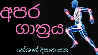 අපර ගාත්‍රය # lower limb