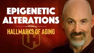 EPIGENETIC ALTERATIONS | A Hallmark of Aging [2020]