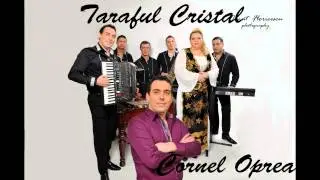 CORNEL OPREA -Salcamule de la drum