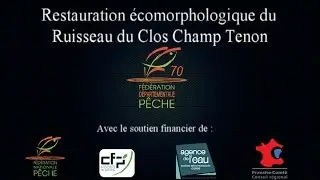 Restauration écomorphologique du ruisseau du Clos Champ Tenon