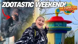 BIG Paw Patrol Land Construction Update +A MONKEY Has Been Born At Chessington!|Pt.19| January 2025 