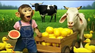 Monkey YOYO Harvests Watermelons, Potatoes & Cook a Feast for His Animal Friends #ai #monkey