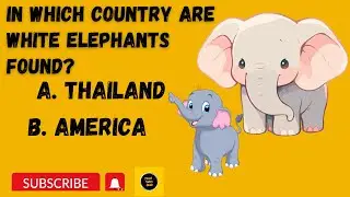 In Which Country  are White Elephants found ?#white #whiteelephant #animals #thailand #america